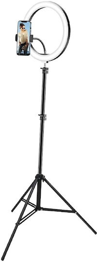 Avizar Adjustable 1.1m Telescopic Tripod Smartphone Holder Black