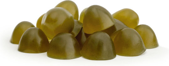 Holista Omega 3 Fish Oil 250ml