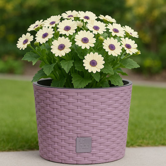 SGTT Plastic Round Pot White 19x19cm