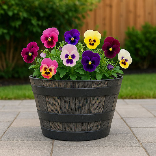 SGTT Barrel Plastic Beige Planter 39x39cm