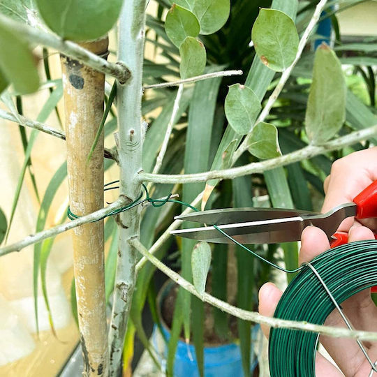 Sârmă De Legat Pentru Grădină Verde 0.8mmx75m Acoperită Cu Pvc