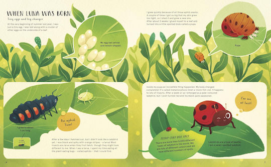 Secret Life Of Bugs, Bees & Trees - Quarto Publishing Plc - Paperback / Softback