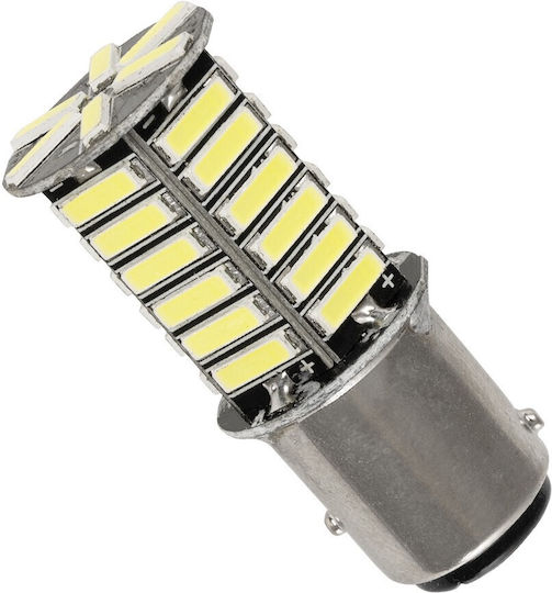 GloboStar Autolampe P21/5W Canbus LED 6000K Kaltes Weiß 12V 2,6W