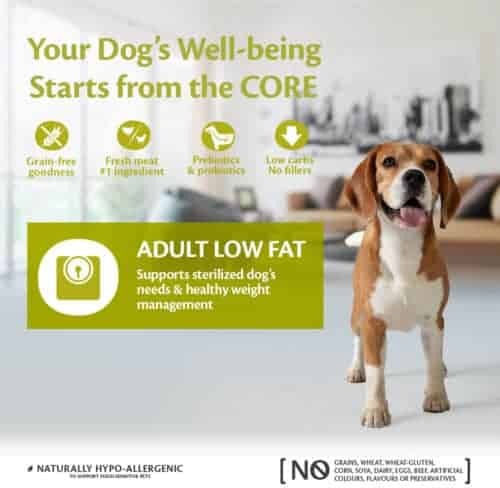 Wellness Core Low Fat Adult 10kg Dry Food Diet, Grain-Free for Adult Neutered Medium & Large Breed Dogs with Turkey