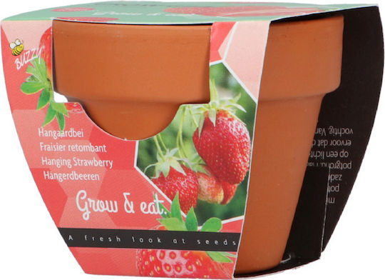 Strawberry Cultivation Kit – Ideal Gift For Children's Party