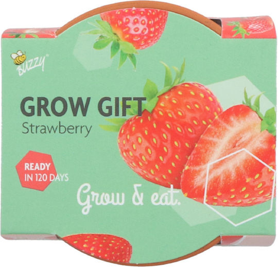 Strawberry Cultivation Kit – Ideal Gift For Children's Party