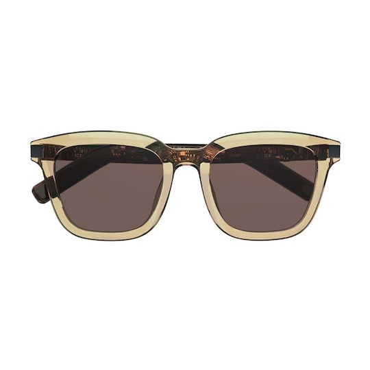 Colmi Glasses in Brown Colour