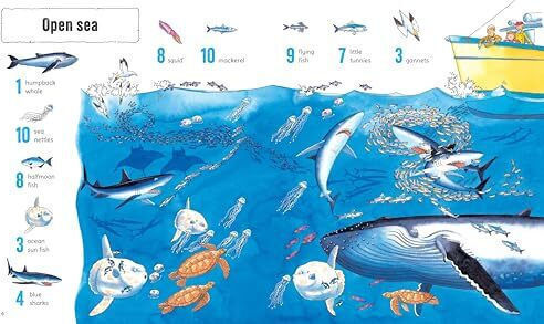 1001 Things To Spot In The Sea - Usborne Publishing Ltd - Hardback