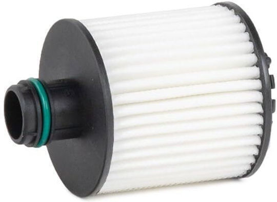 Φιλτρο Λαδιου Fiat Doblo 16-qubo 10-500x-mito 1.3 Mtj 2513900-137