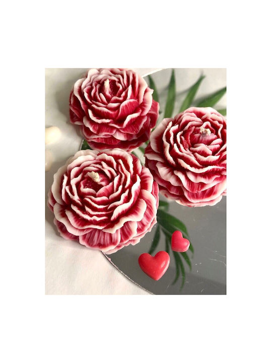 Alista Home Aromatisches Kerze mit Rose Parfüm 70gr