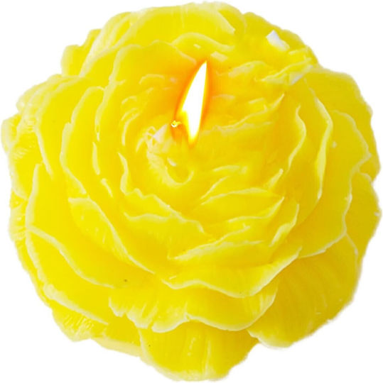 Alista Home Lumânare Aromatică Cu Miros De Rose 70gr
