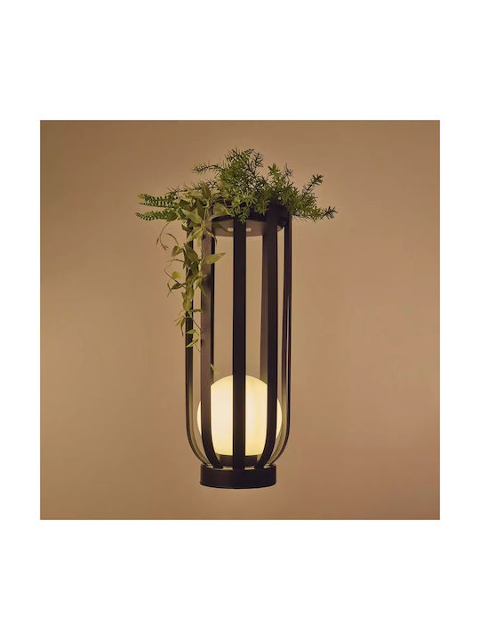 Lămpi Decorative Pentru Masă E27