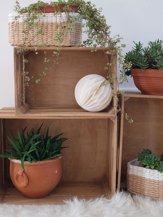 Zeller Wooden Storage Box with Lid Beige 35x25x20cm
