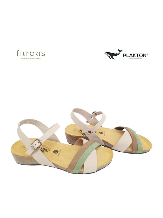 Plakton