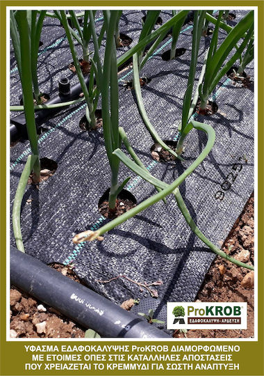 Υφασμα Εδαφοκαλυψης Prokrob Κρεμμυρι Χλωρο 1x5m 200 Θεσεις 99201