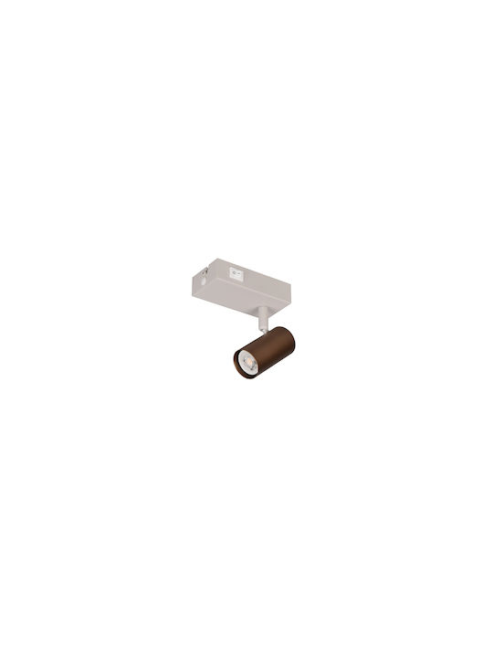Trio Lighting Single Ceiling & Wall Spot in Brown Colour