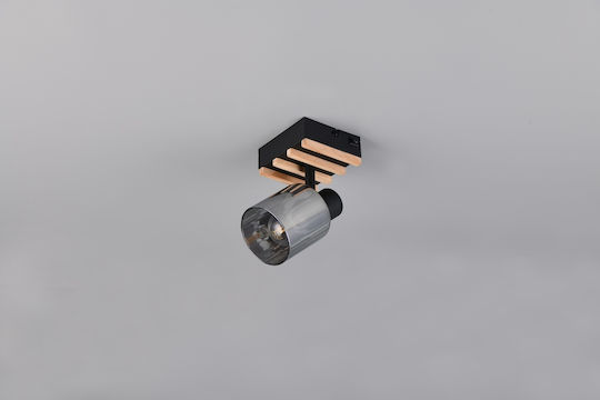 Trio Lighting Single Ceiling & Wall Spot in Black Colour
