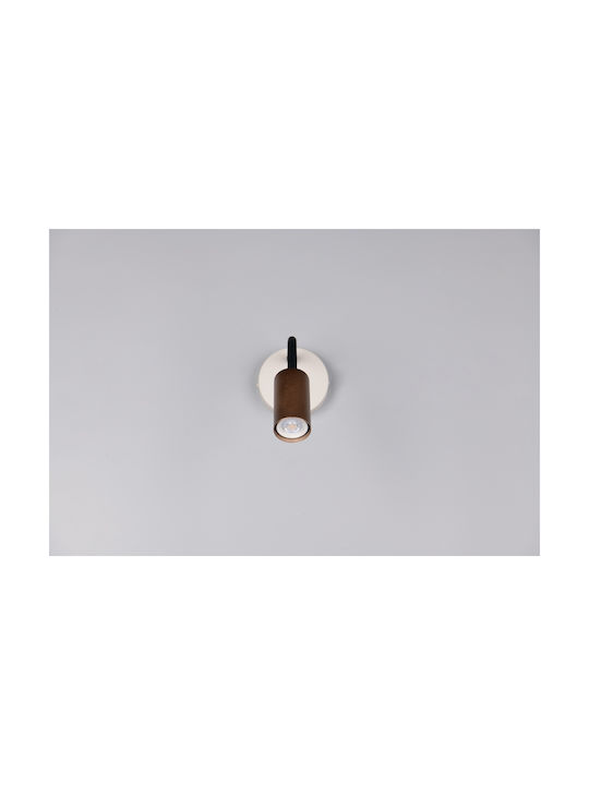 Trio Lighting Modern Wandleuchte Braun