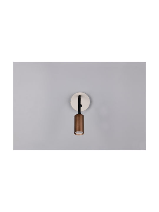Trio Lighting Modern Wandleuchte Braun