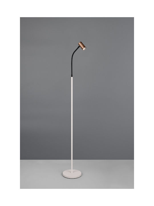 Trio Lighting Floor Lamp Brown