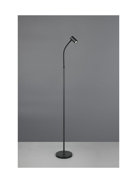 Trio Lighting Floor Lamp Black