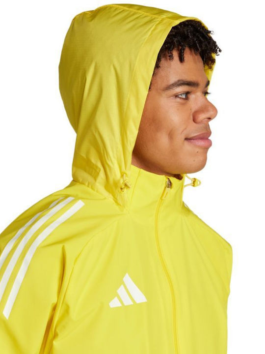 Jacket Мъжко Яке Жълто
