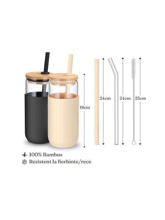Alista Home Set Pahare Din Sticlă Cu Pai 500ml 2 Bucăți