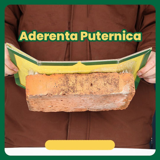Alista Home Leimfalle 21x15cm 163291
