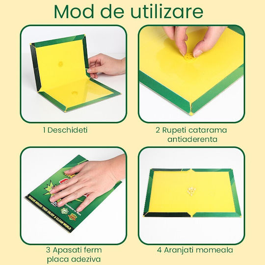 Alista Home Leimfalle 21x15cm 163291