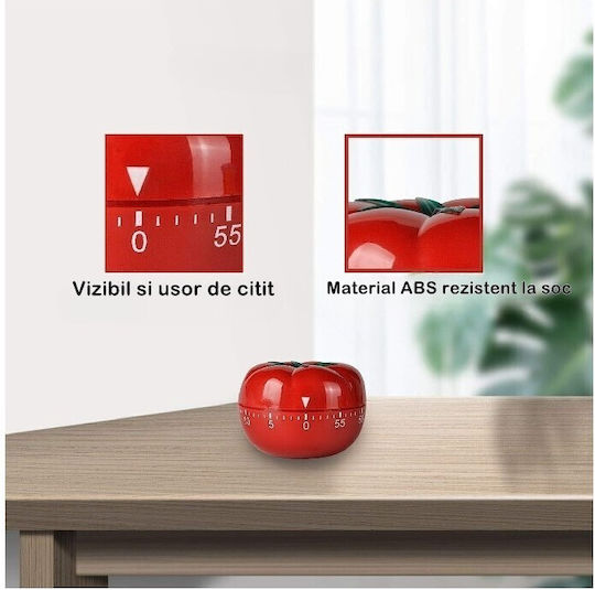 Alista Home Cronometru Analogic de Bucătărie cu Numărătoare Inversă
