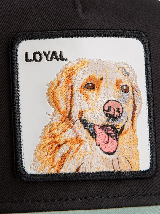 Jockey Loyal Dog Hund Schwarz-menta Goorin Bros