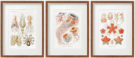 Frame "Under Sea" 3 designs 30x40cm