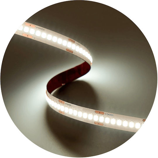 Modee Lighting LED-Streifen 24V Natürliches Weiß Licht 5m