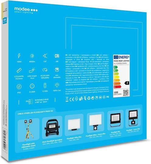 Modee Lighting Στεγανός Προβολέας LED 100W Φυσικό Λευκό 4000K IP65