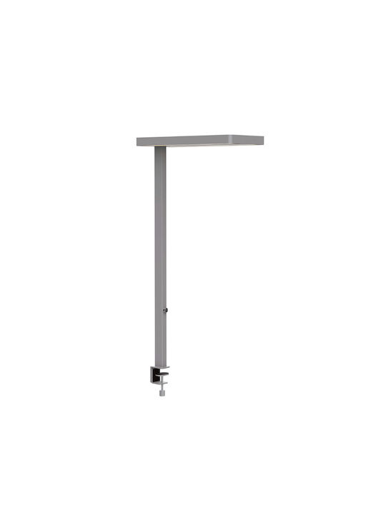 Maul LED Office Lamp Maul LED Office Lamp