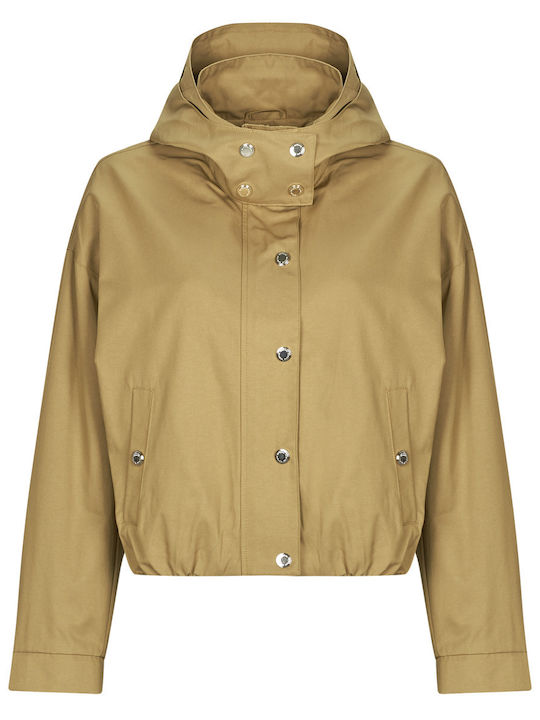 Women's Jacket for Winter Brown