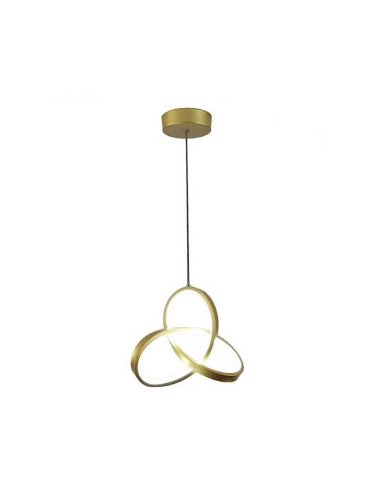 Powertech Pendant Light Gold 22x22x100cm