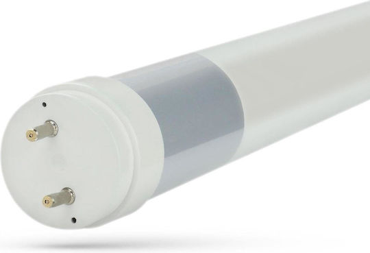 Light Bulb Spectrum Led T8 Cold White G13 18 W 2600 Lm