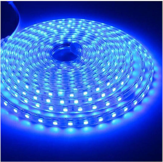 Elmark Rezistent la apă Bandă LED 12V Albastru Lumină 5m Tip SMD5050