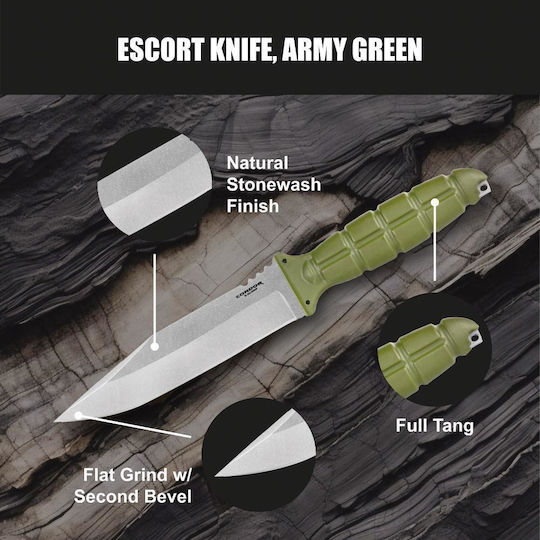 Condor Tool & Knives Army Μαχαίρι Πράσινο σε Δερμάτινη Θήκη