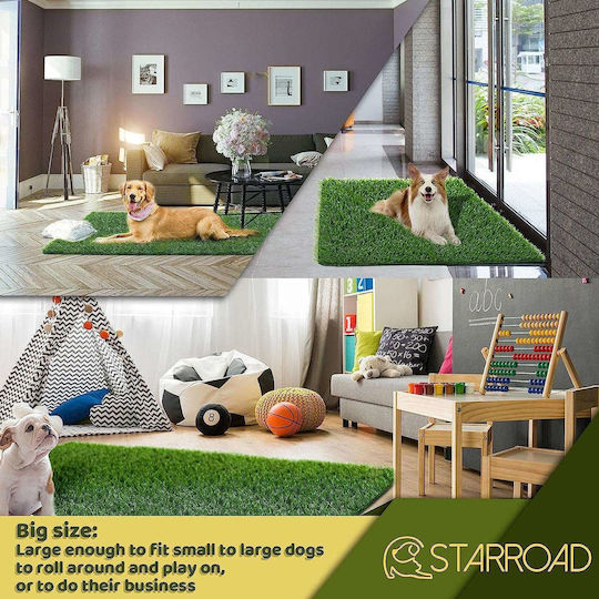 Dog Training Toilet with Grass