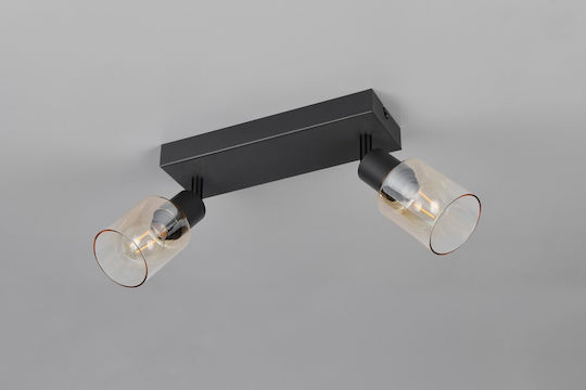 Trio Lighting R8178