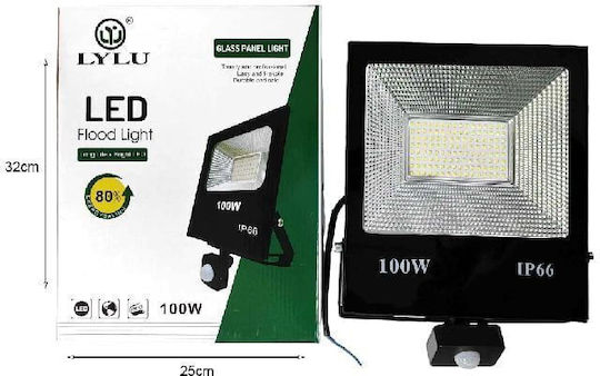 Light LED Flood Light 100W