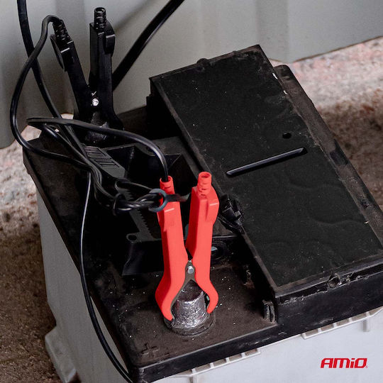 AMiO Pro Hook Зарядно за автомобилна батерия 6/12V
