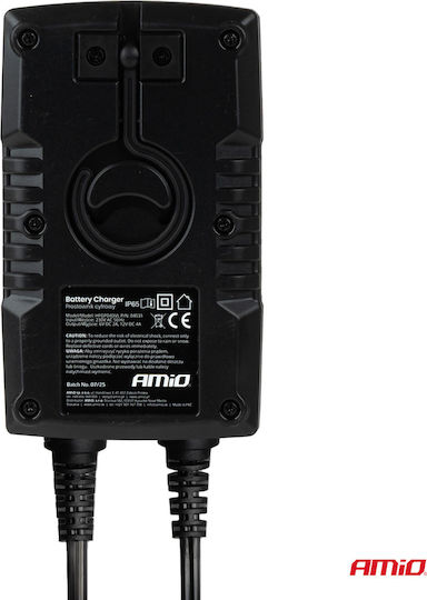 AMiO Pro Hook Φορτιστής Μπαταρίας Αυτοκινήτου 6/12V