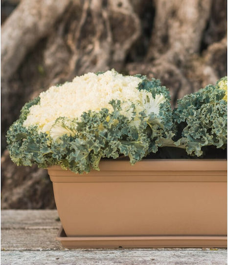 Viosarp Planter Box Teracota Viosarp Planter Box Teracota