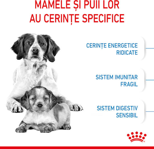 Royal Canin Starter Mother & Babydog Medium 15kg Dry Food for Medium Breed Puppies with Chicken and Rice