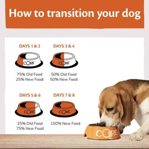 Wellness Core Grain Free Small Adult Ocean 1.5kg Dry Food Grain-Free for Adult Small Breed Dogs with Salmon and Tuna