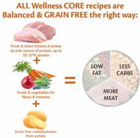 Wellness Core Grain Free Small Adult Ocean 1.5kg Dry Food Grain-Free for Adult Small Breed Dogs with Salmon and Tuna