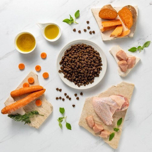 Vetexpert Raw Paleo Turkey Adult Medium Large 10kg